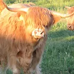 Lomamokkila לינה וארוחת בוקר