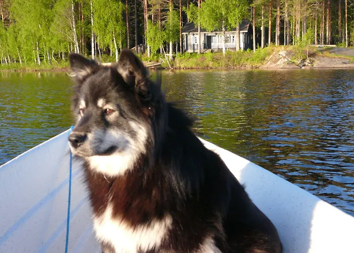 Lomamokkila Savonlinna